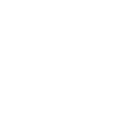 Grupo Accion Logo
